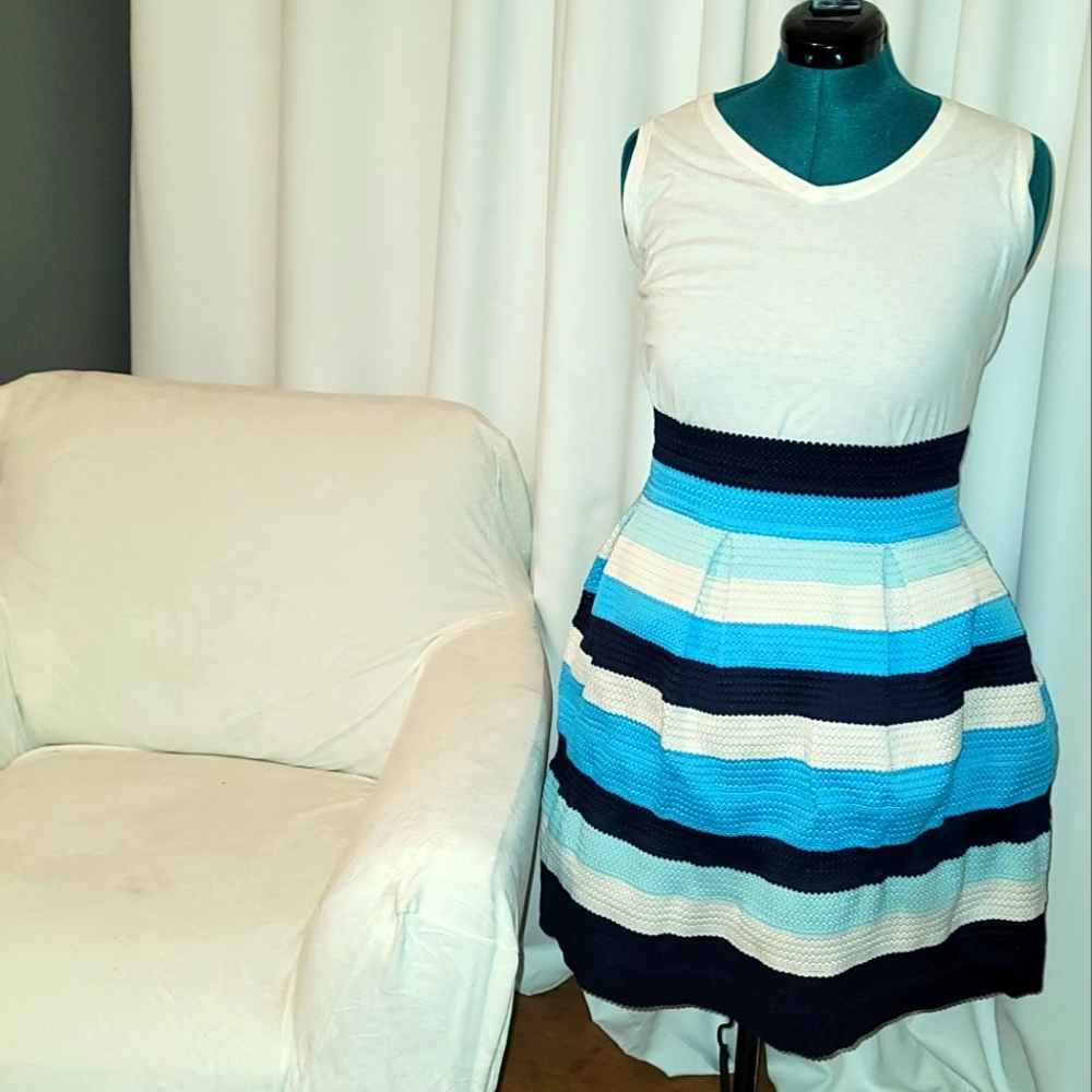 Blue Stripped Plus Size Skirt